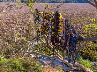 Tenango de las Flores